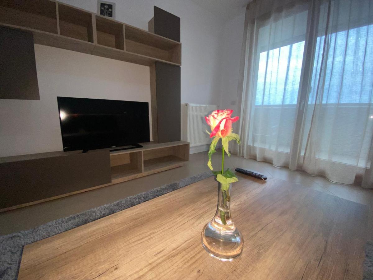 Central Apartment Temesvár Kültér fotó