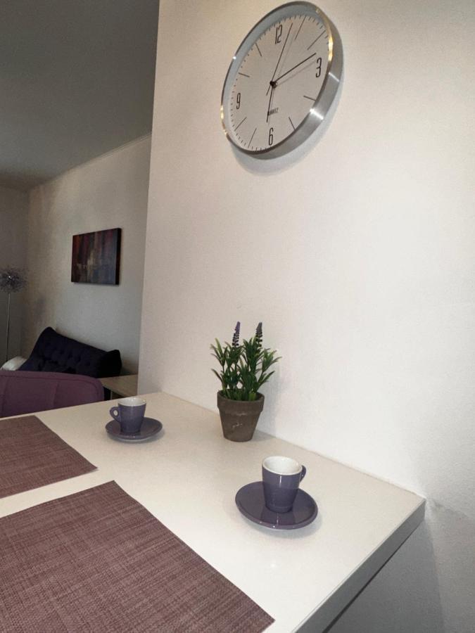 Central Apartment Temesvár Kültér fotó