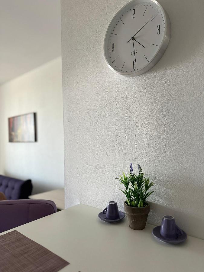 Central Apartment Temesvár Kültér fotó