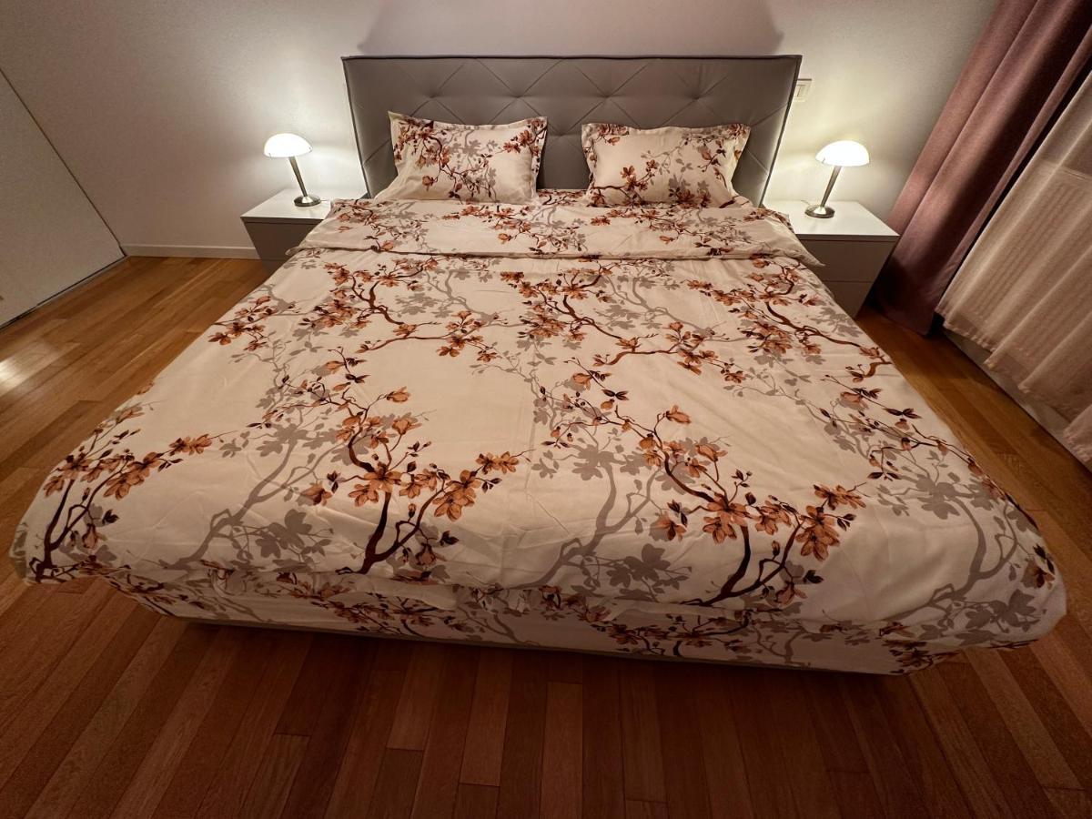 Central Apartment Temesvár Kültér fotó