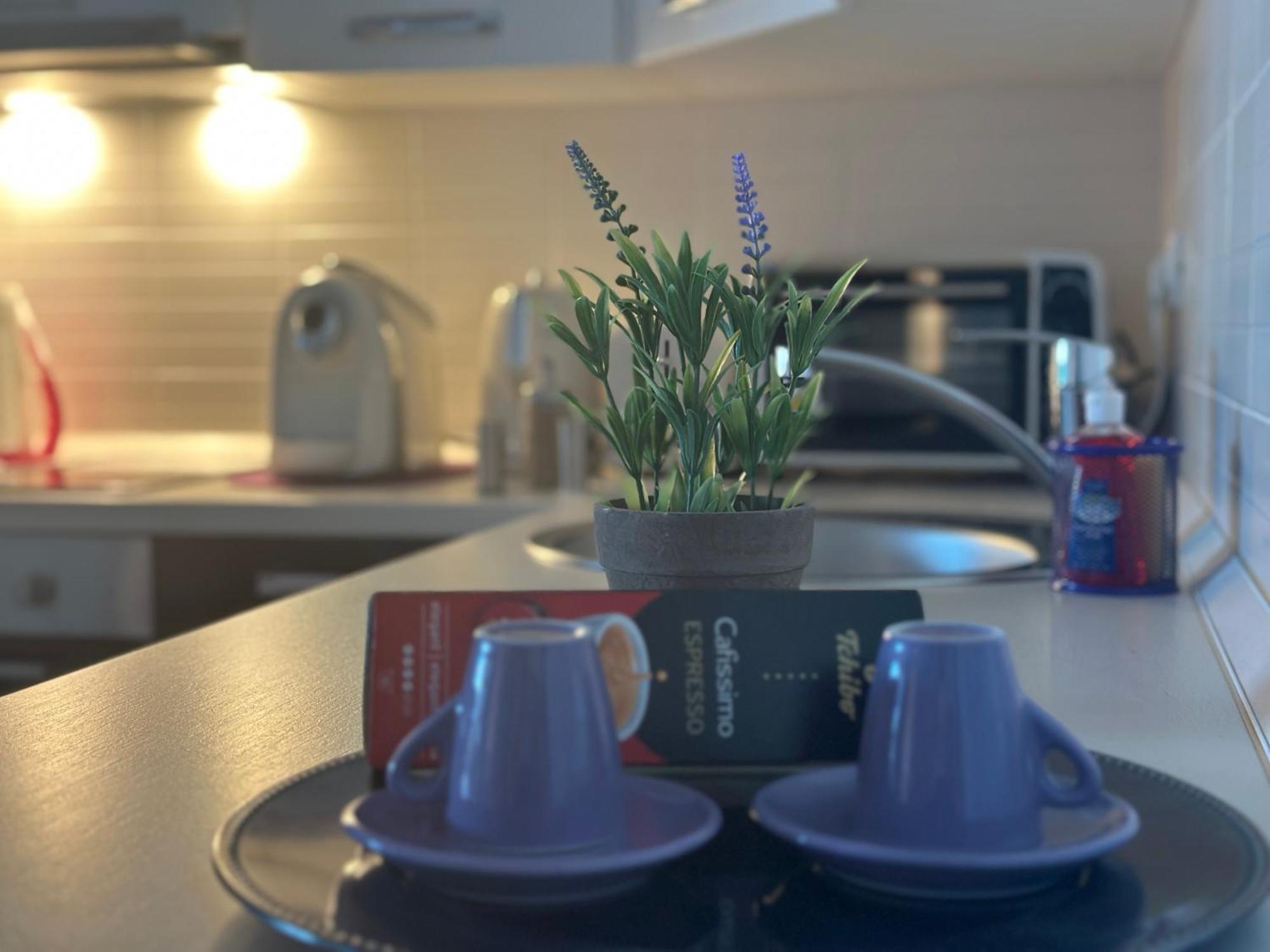 Central Apartment Temesvár Kültér fotó